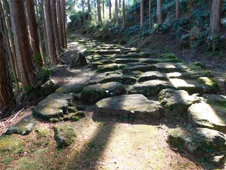 波田須の道