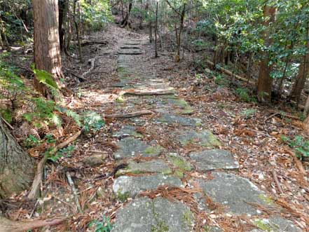 横垣峠道