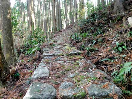 横垣峠道