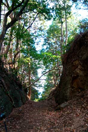 三浦峠