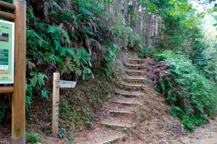 三浦峠（熊ヶ谷道）登り口