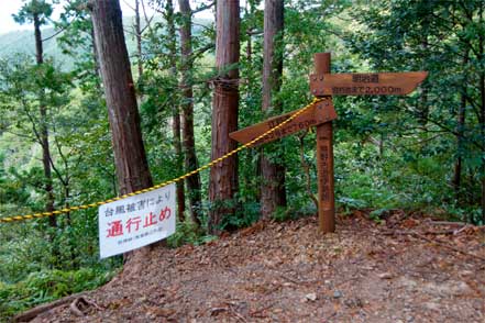 明治道江戸道分岐