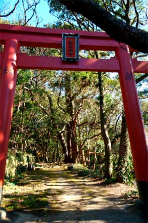 金光稲荷神社