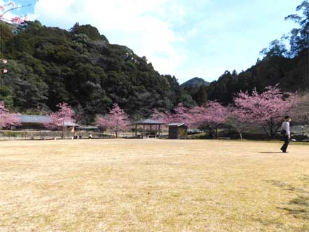 鶴川公園