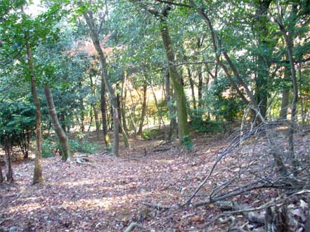 登山道