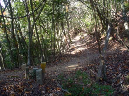 登山道