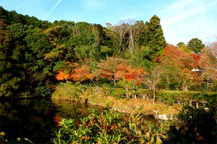 小倉池