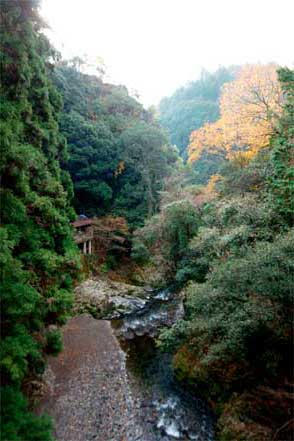 保津峡方面