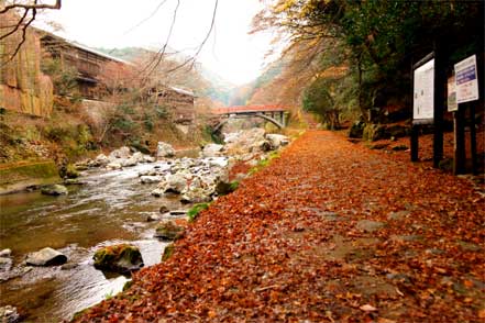 清滝川