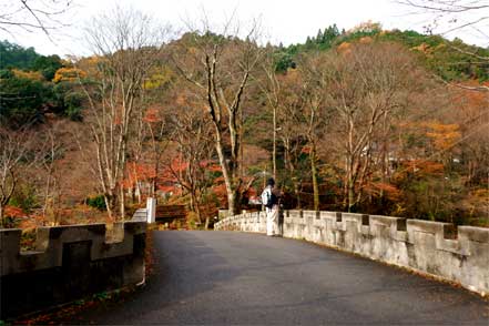 金鈴橋