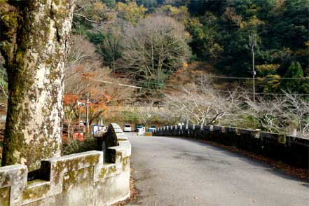 金鈴橋