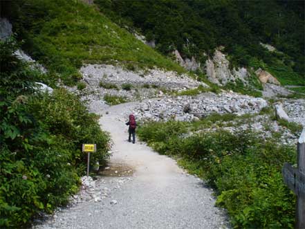 奥丸山分岐