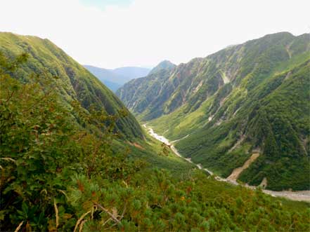 槍沢キャンプ場