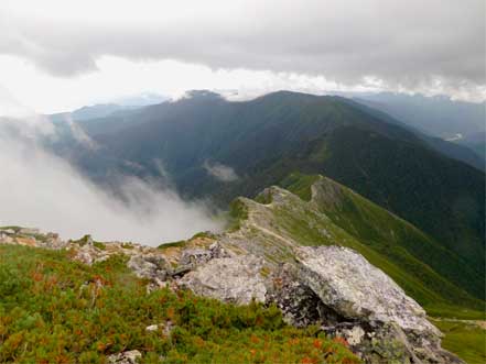 登山道