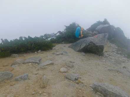 登山道