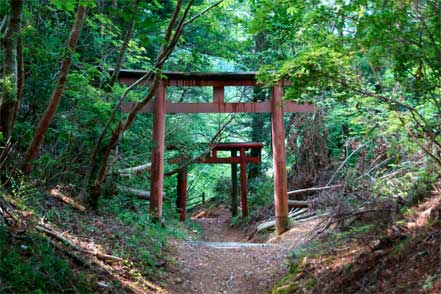 鳥居が続く