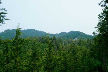 高野山・女人道巡り