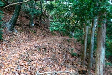 登山道