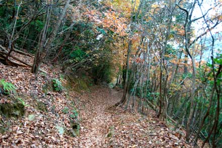 登山道