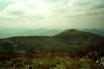 霊仙山