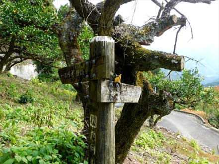 標識（四国のみち）