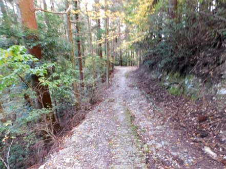 岩道、坂、下り