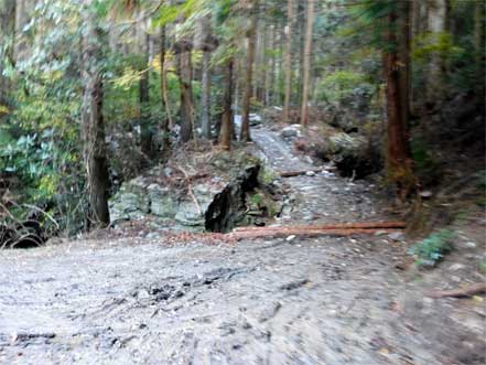 岩道、坂、下り