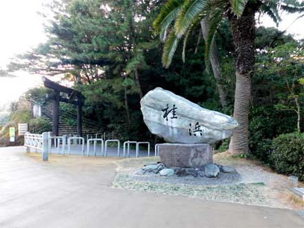 桂浜公園