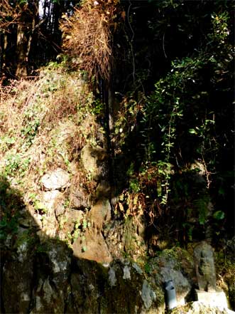 滝　しずく滝？