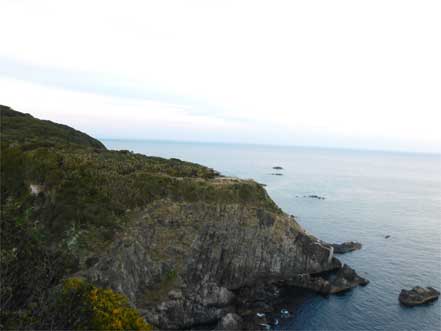 足摺岬天狗の鼻