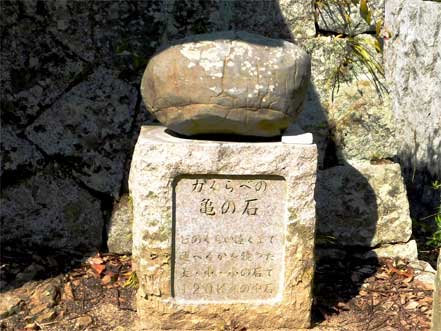 亀の石
