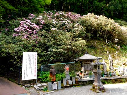 横峰寺