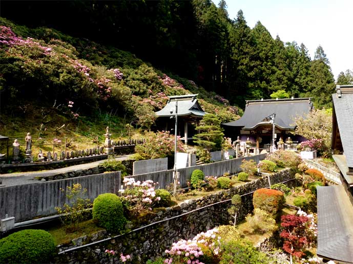 横峰寺
