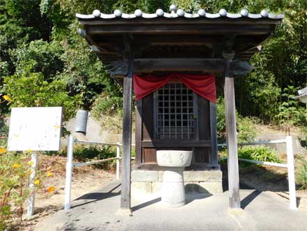 �U���n��