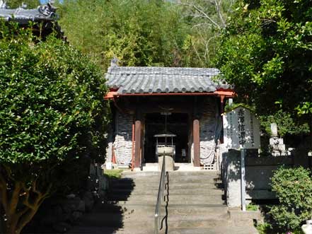 ���V�M�Z��_