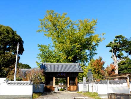 �n�����m����