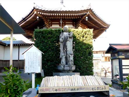 �n�����A���p��