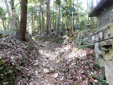 �~�j�l�����\������