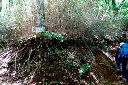 ９合目小屋分岐