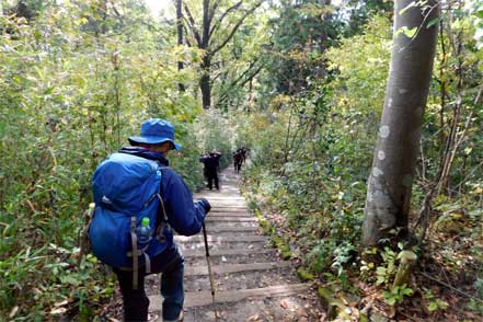 稲荷山コース