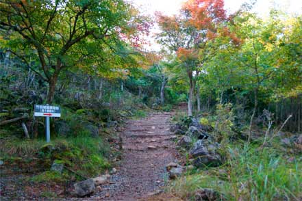 登山道