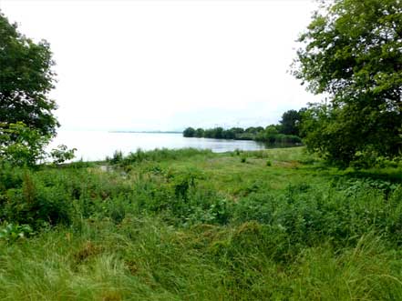 豊公園　琵琶湖