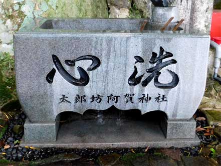 心洗