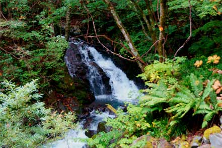 岩魚留ノ滝