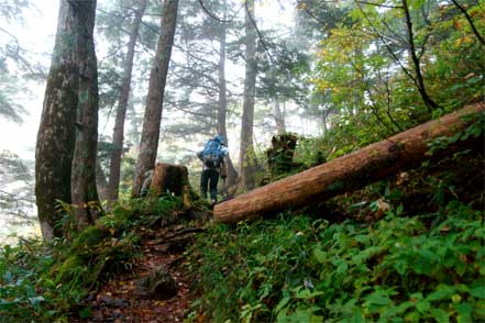 登山道