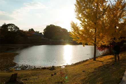 東大寺