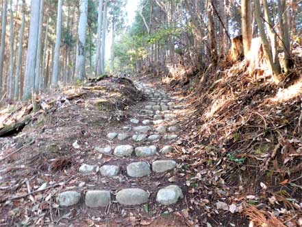 近畿自然歩道