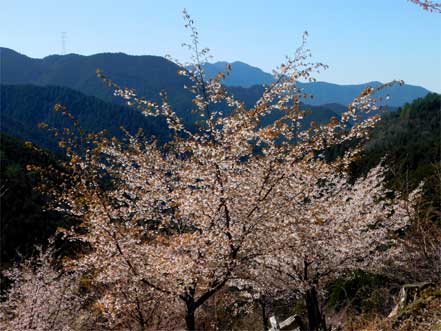 四方正面堂跡