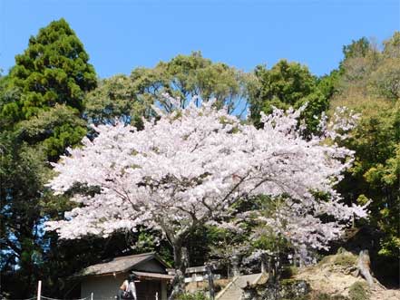 鷲尾神社