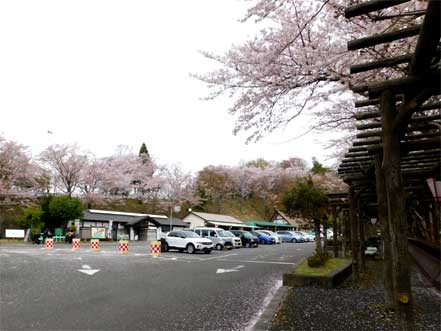 つづら尾崎展望台